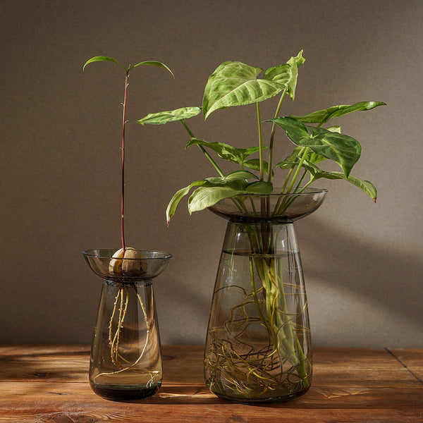 Plants in Kinto Aqua Culture Vase in Gray on a wooden table