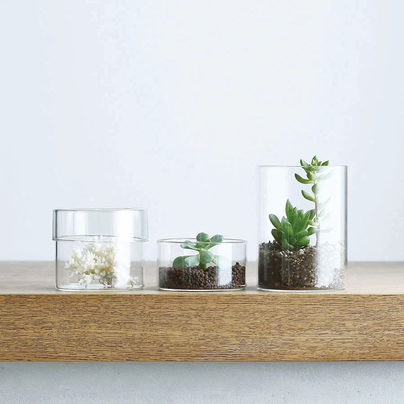Kinto SCHALE Glass Case in Frost