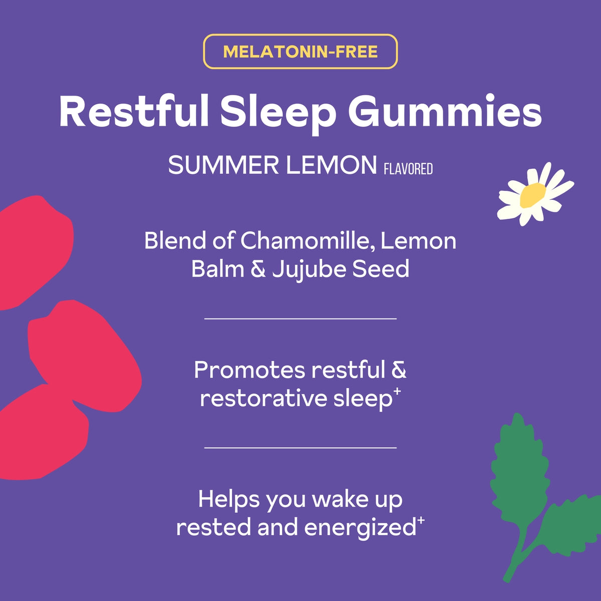 Restful Sleep Gummies - Summer Lemon Flavor – mogutable