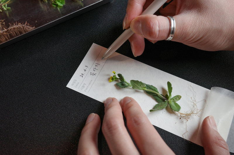 OIMU Plant Collecting Bookmark
