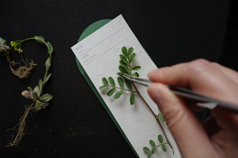 OIMU Plant Collecting Bookmark