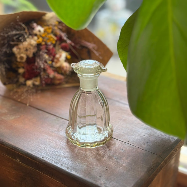 食器 NH X HIROTA GLASS . SOY SAUCE DISPENSER Hirota Glass Chrysanthemum Soy Sauce Dispenser – mogutable