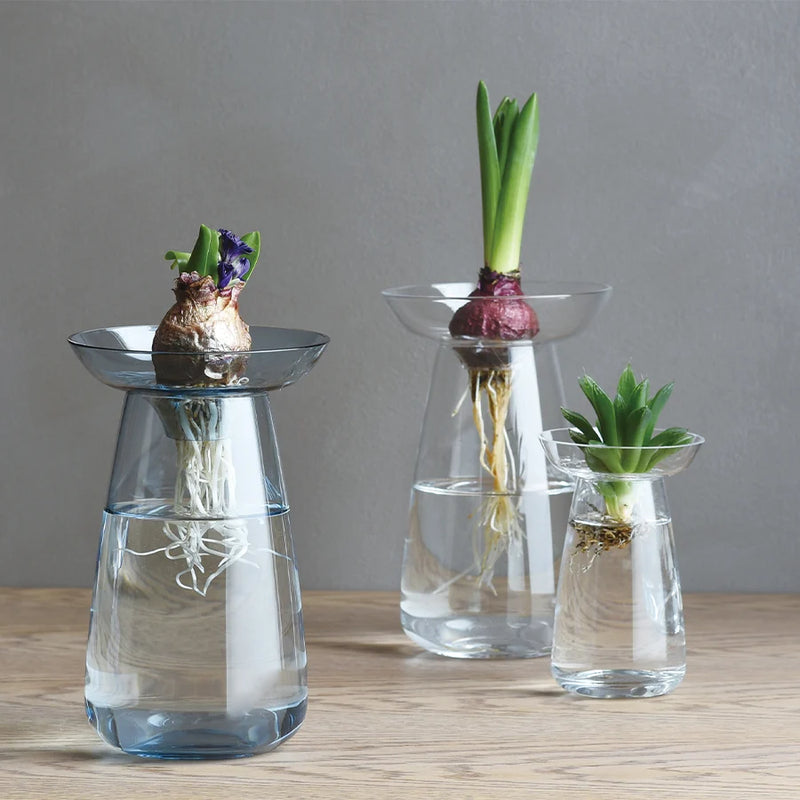 Small Kinto Aqua Culture Vase