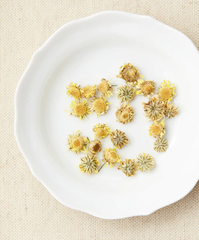Wild Chrysanthemum Tea 赤柯山有機小油菊