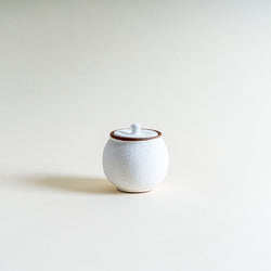 Shigaraki Salt Jar