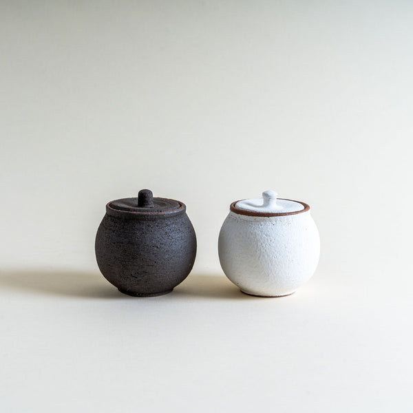 Shigaraki Salt Jar
