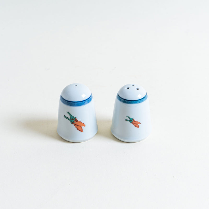 Salt and Pepper Shaker Set