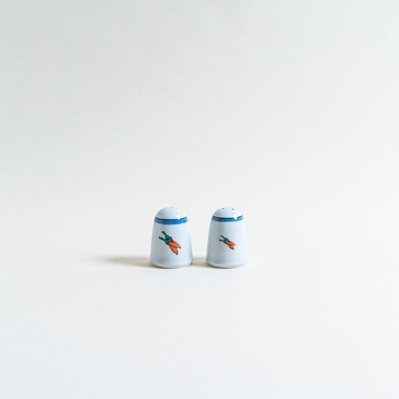 Salt and Pepper Shaker Set