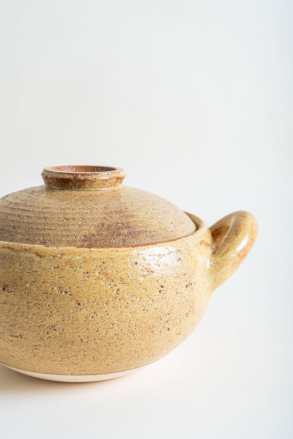 Close-up of the Nagatani-en Miso-Shiru Donabe, highlighting its textured surface, lid, and elegant handle.