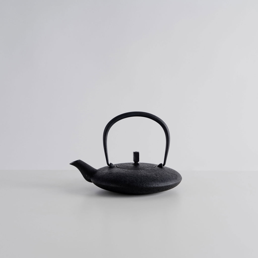 Tetu Nambu Cast Iron Teapot – mogutable