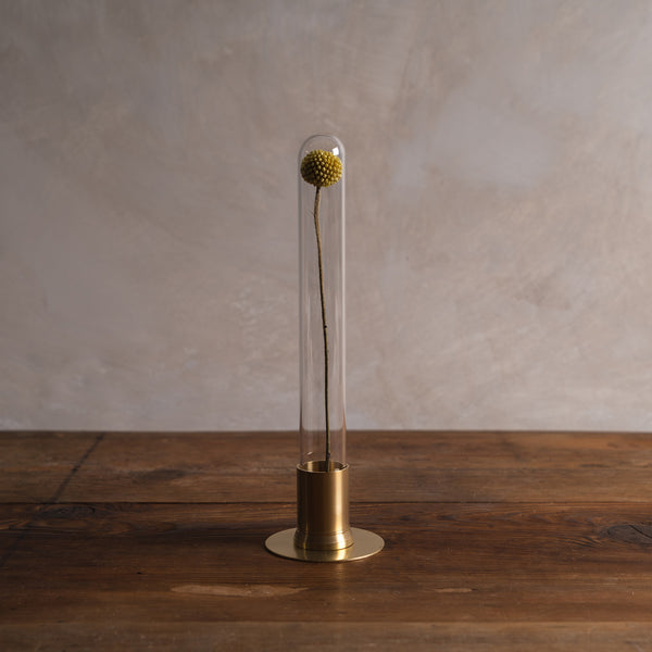 Japanese Herbarium Brass Flower Vase with Glass Dome